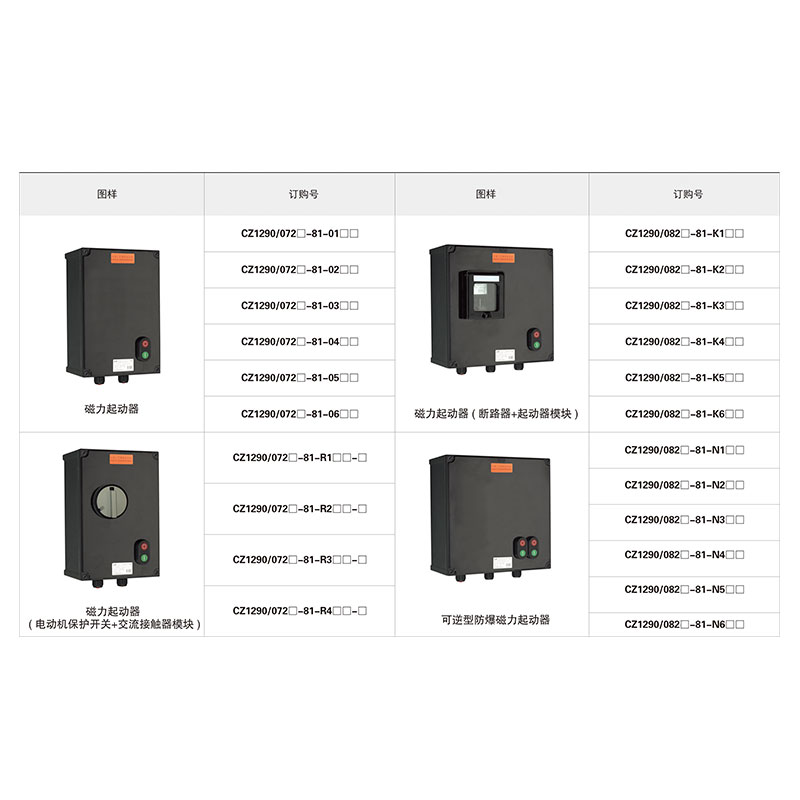 CZ1290 可逆型防爆磁力起動(dòng)器 